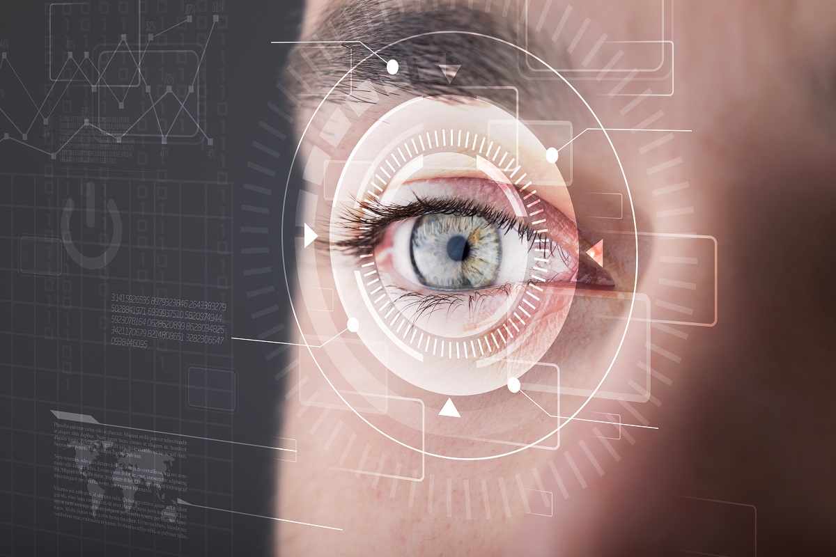 Optical knowledge in the human eye